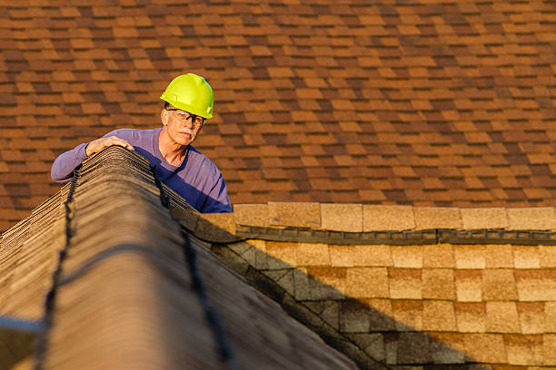 Best Roof Gutter Cleaning  in Sparks, GA