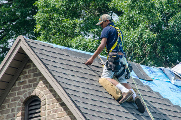 Best Roof Maintenance Services  in Sparks, GA